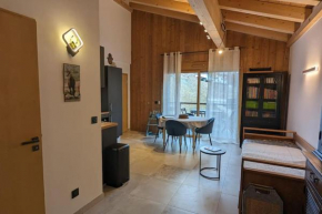 Appartement ludothèque familial neuf à Combloux